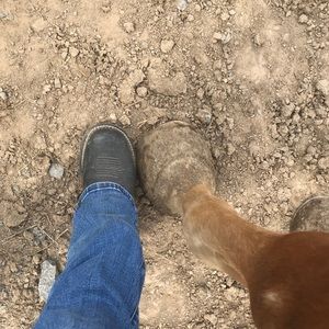 Meet your Posher, Hailey